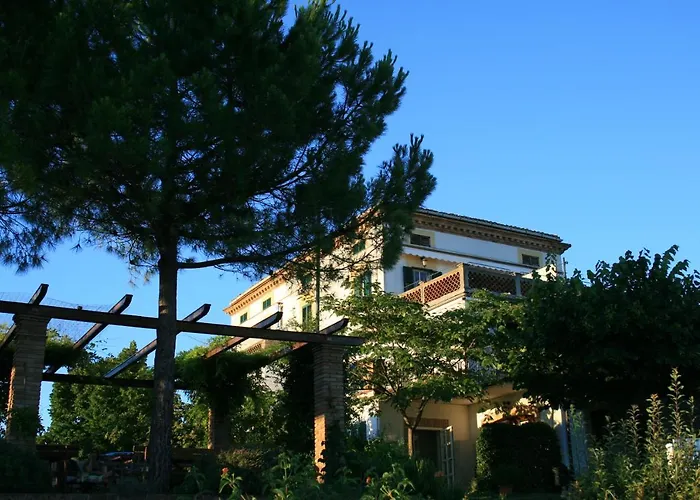 Fiore * Torano Nuovo